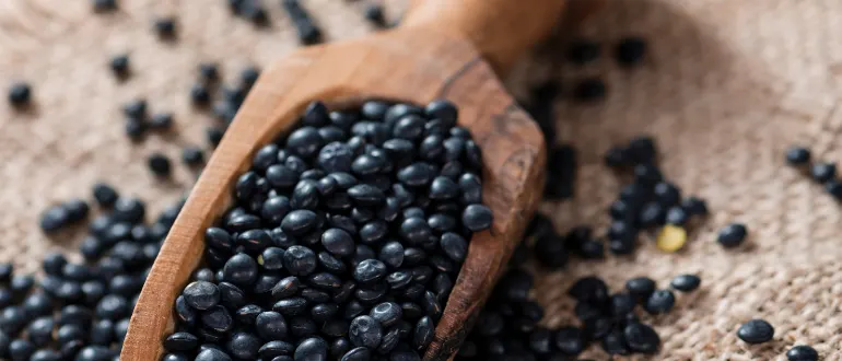 Black Lentils